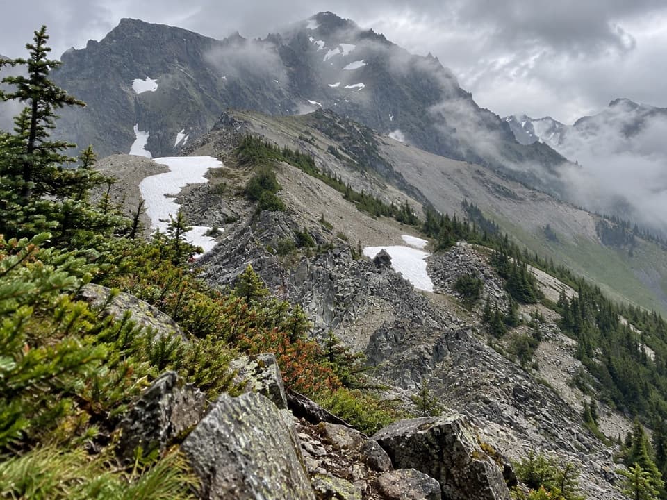 Upper Graywolf River Trail in Olympic National Park