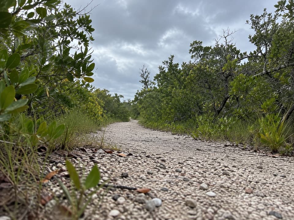 Lower Sugarloaf Key Trail in Overseas Highway