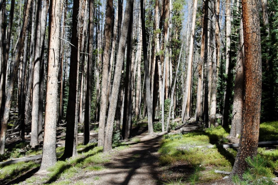 Green Mountain Loop in Rocky Mountain National Park