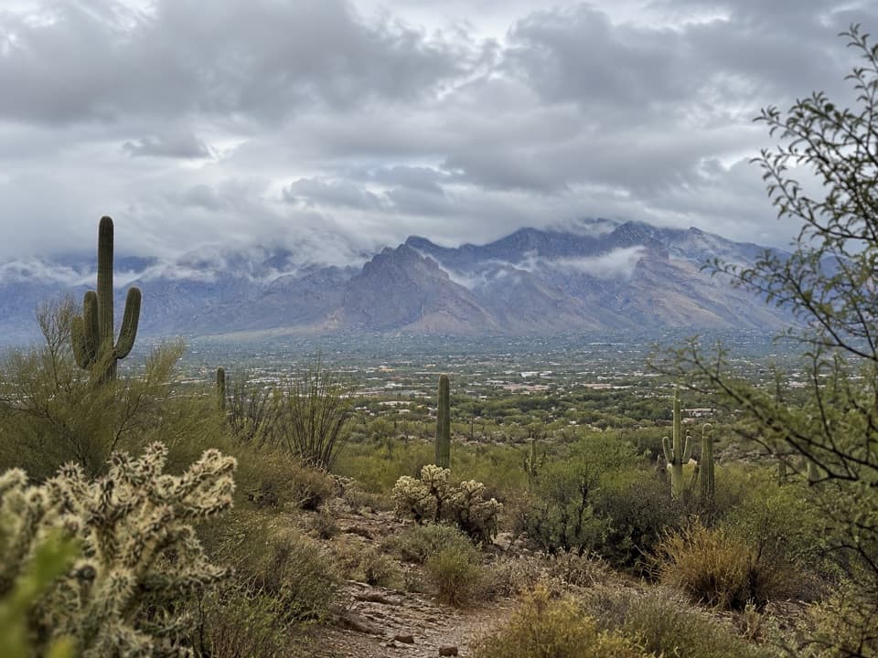 Abington Long Loop in Saguaro National Park