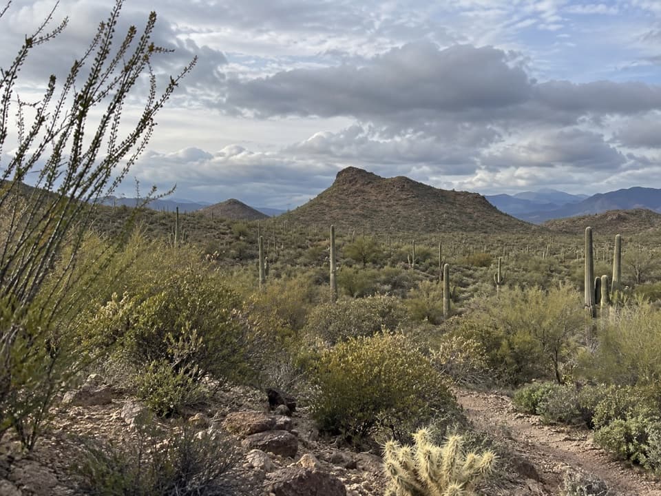 Coyote Pass Loop in Saguaro National Park