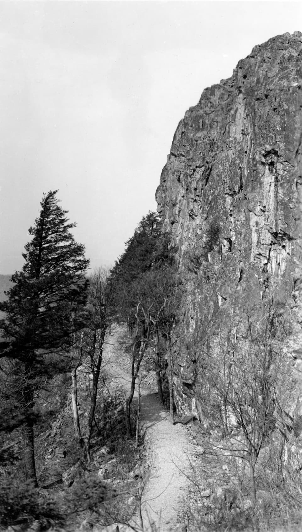 Passamaquoddy Loop in Shenandoah National Park