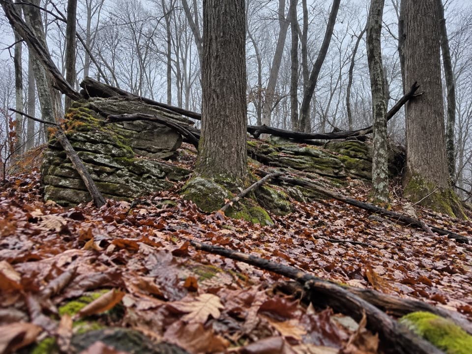 Broad Hollow - Pine Hill Gap Loop in Shenandoah National Park