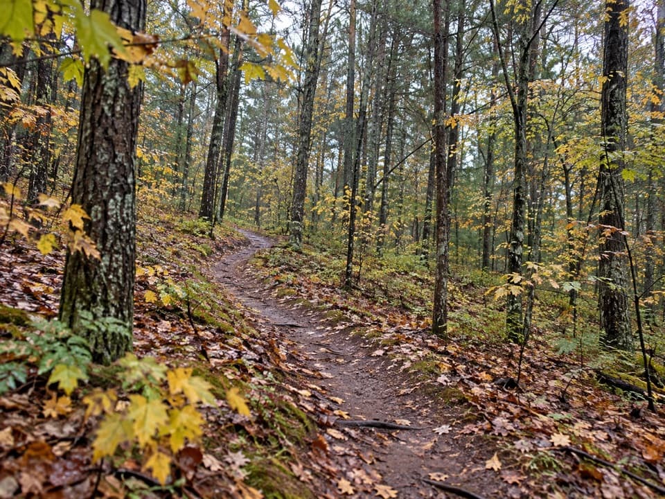 Lasso Loop Trail in Sleeping Bear Dunes National Lakeshore