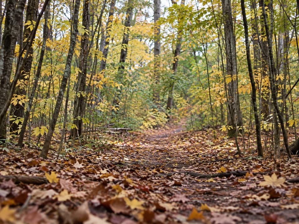 North Manitou Classic Loop in Sleeping Bear Dunes National Lakeshore