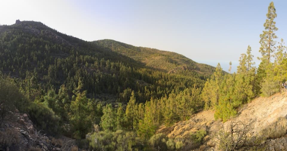 PNT 35 Boca Chavao Trail in Teide National Park