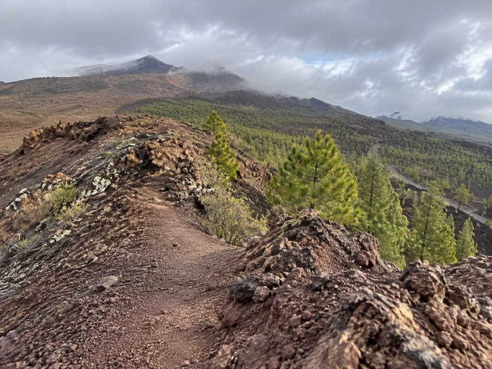 Sámara Loop Trail in Teide National Park