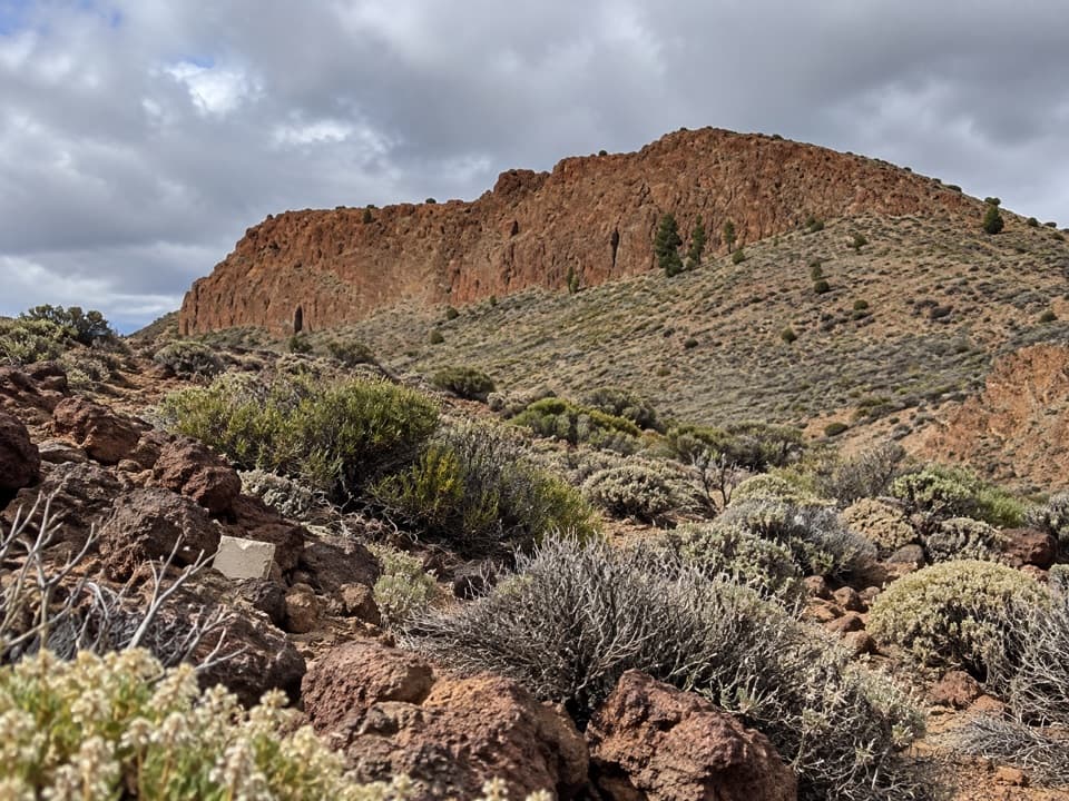 PNT 06 Montaña de los Tomillos in Teide National Park