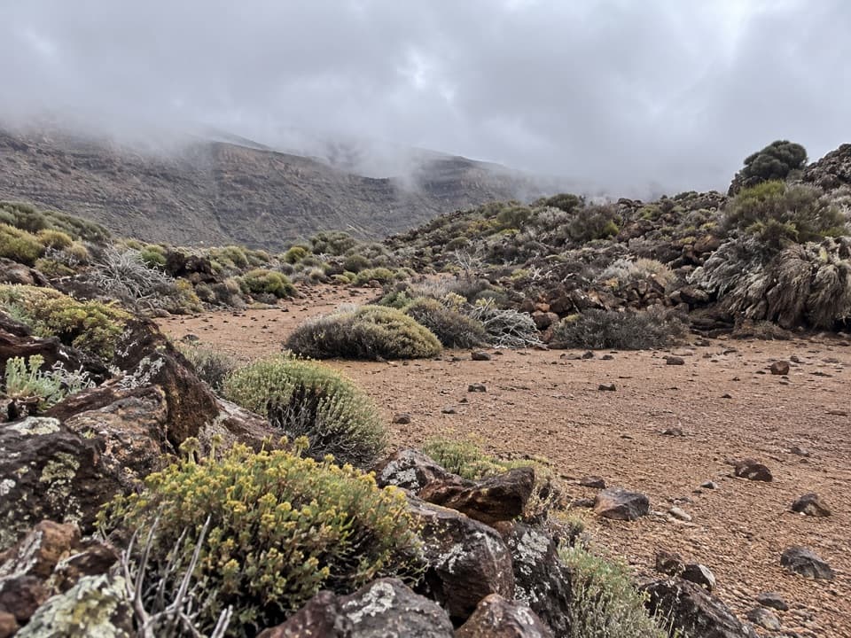 PNT 30 Los Valles Trail in Teide National Park
