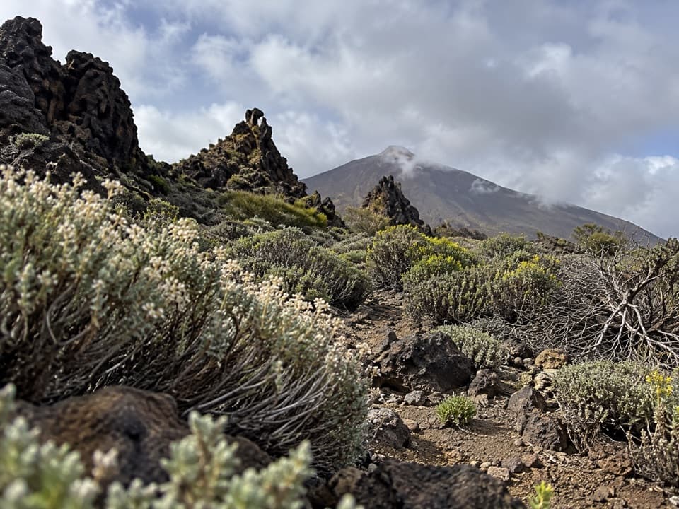 PNT 33 Montaña Negra Trail in Teide National Park