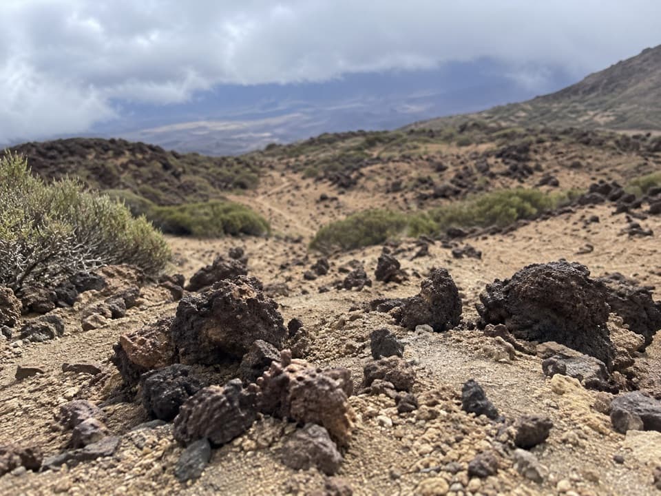 PNT 23 Los Regatones Negros in Teide National Park