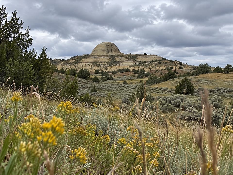 Upper Paddock Creek Trail in Theodore Roosevelt National Park