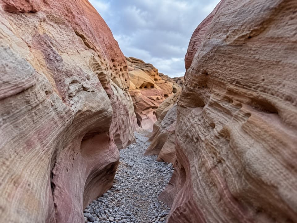 Pink/Pastel Canyon Trail in Valley of Fire State Park