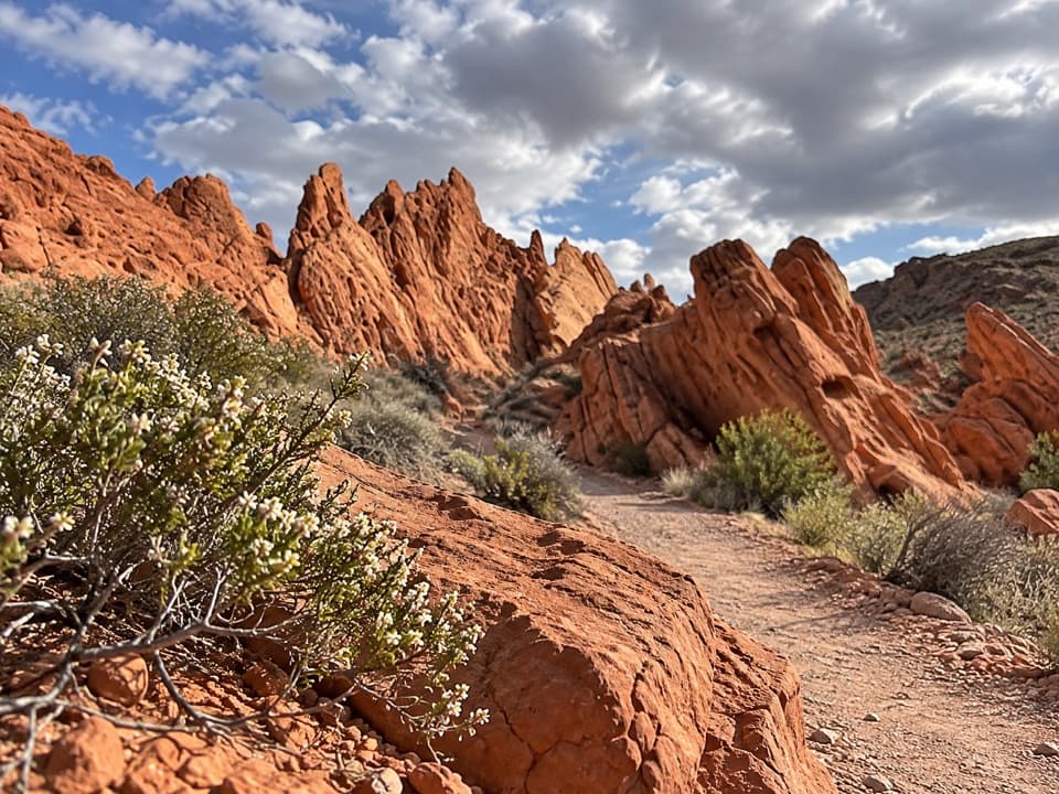 Pinnacles Loop in Valley of Fire State Park