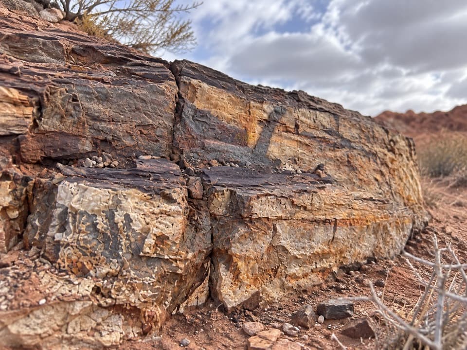 Eastern Petrified Log Trail in Valley of Fire State Park