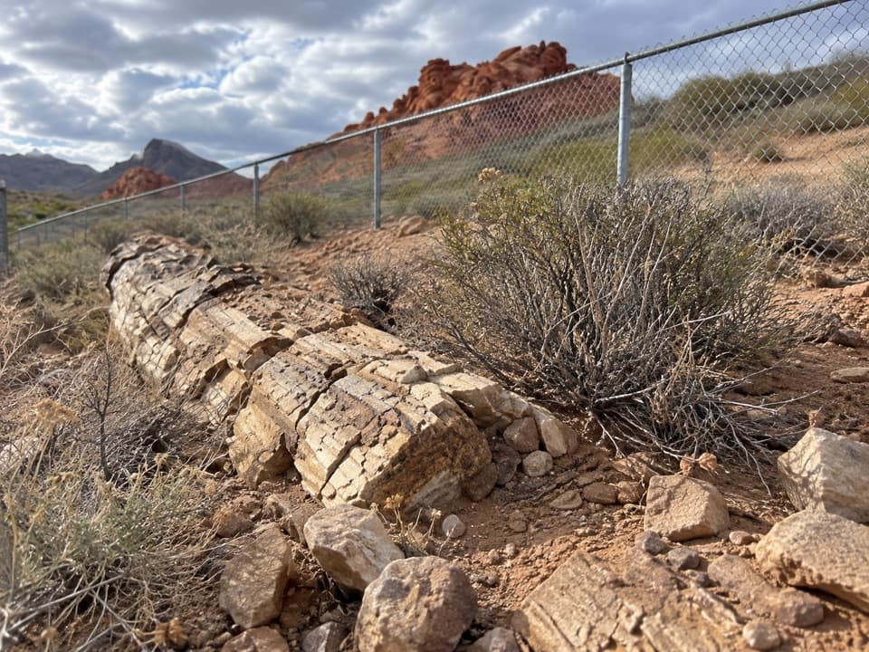 Petrified Logs Loop Trail in Valley of Fire State Park