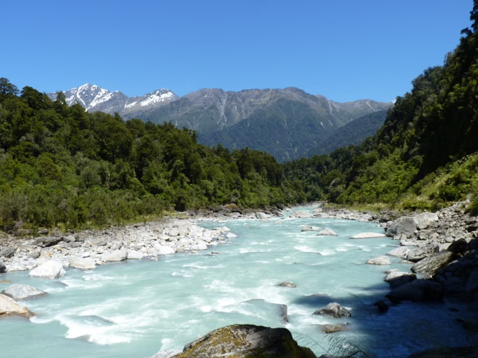 Copland Track to Welcome Flat Hut in Westland Tai Poutini National Park