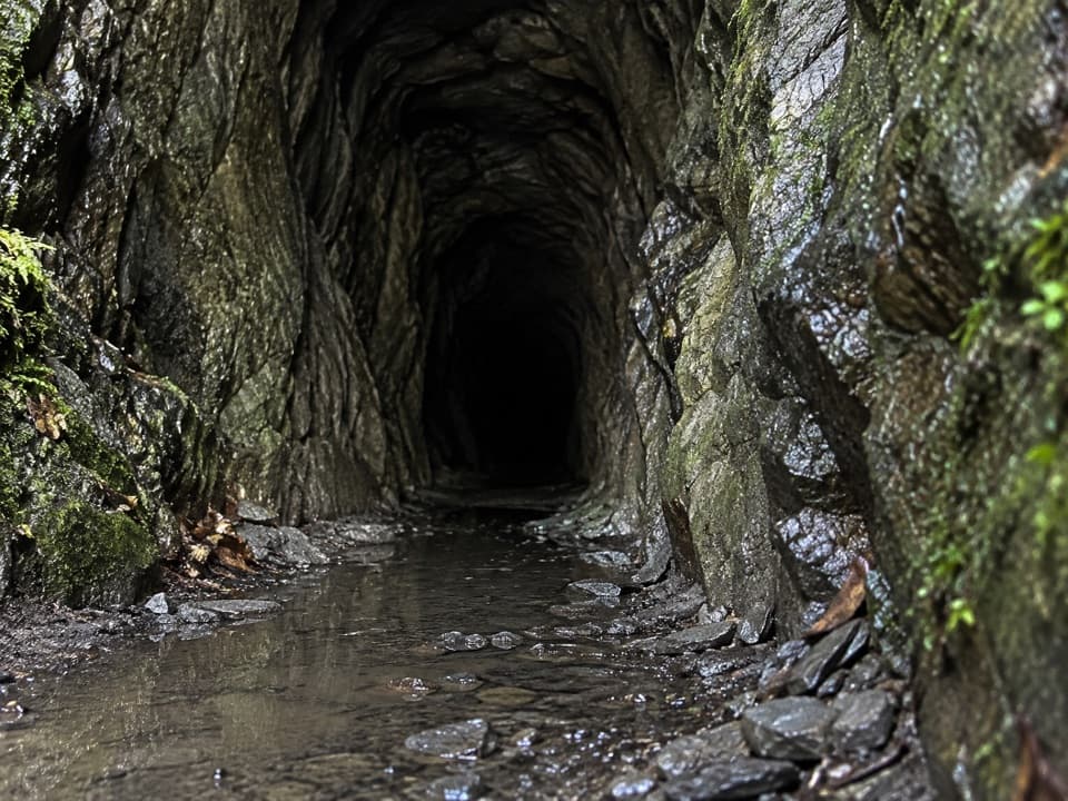 Tatare Tunnels Walk in Westland Tai Poutini National Park
