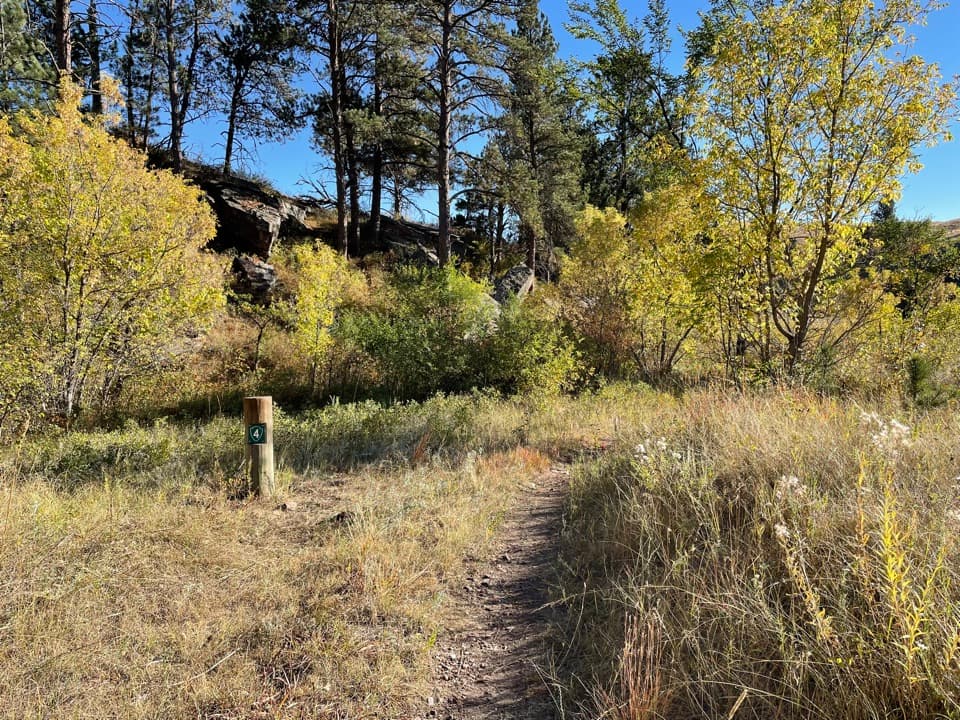 Lookout Point Trail and Centennial Trail Loop in Wind Cave National Park