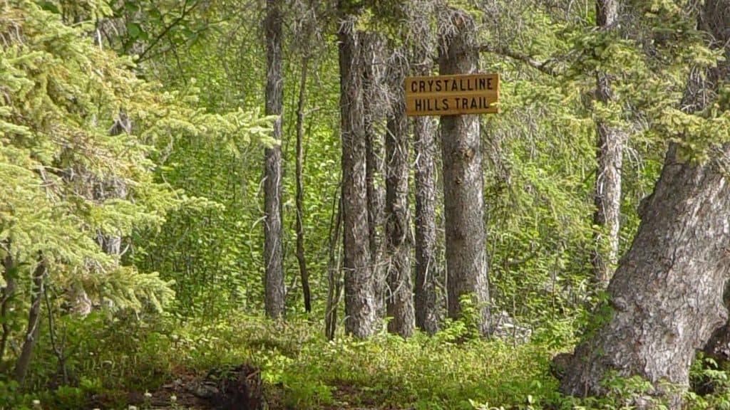 Crystalline Hills Trail in Wrangell-St. Elias National Park