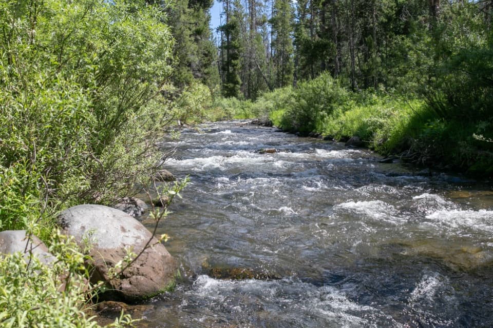 Specimen Creek Trail in Yellowstone National Park