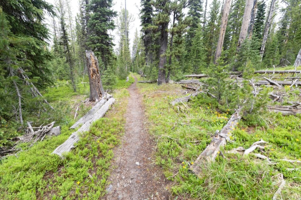 South Shore Shoshone Lake Trail in Yellowstone National Park