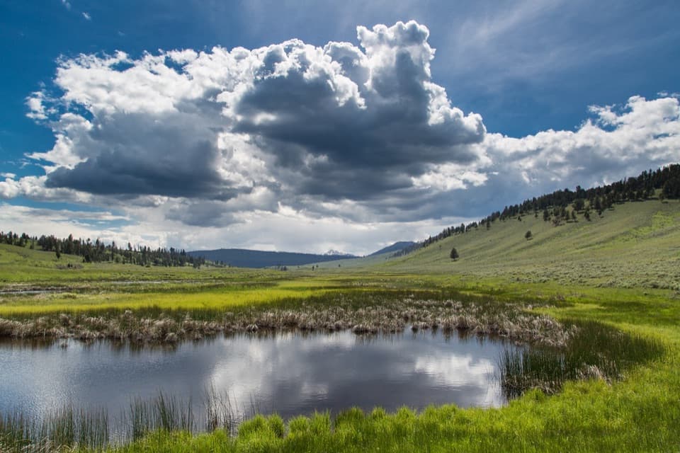 Blacktail Ponds Spur Trail in Yellowstone National Park