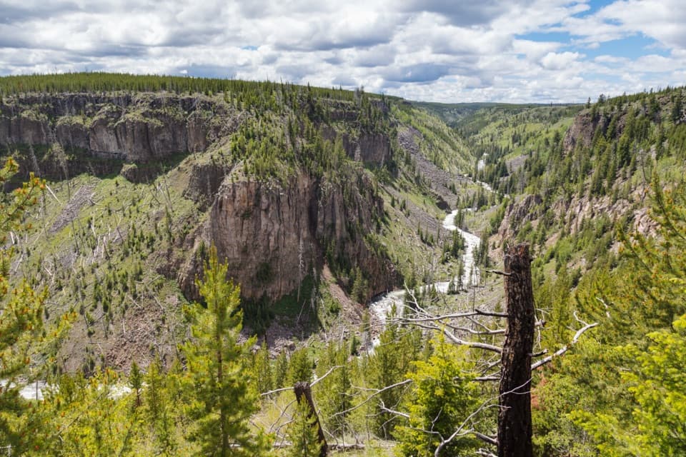 Bunsen Peak Road Trail in Yellowstone National Park