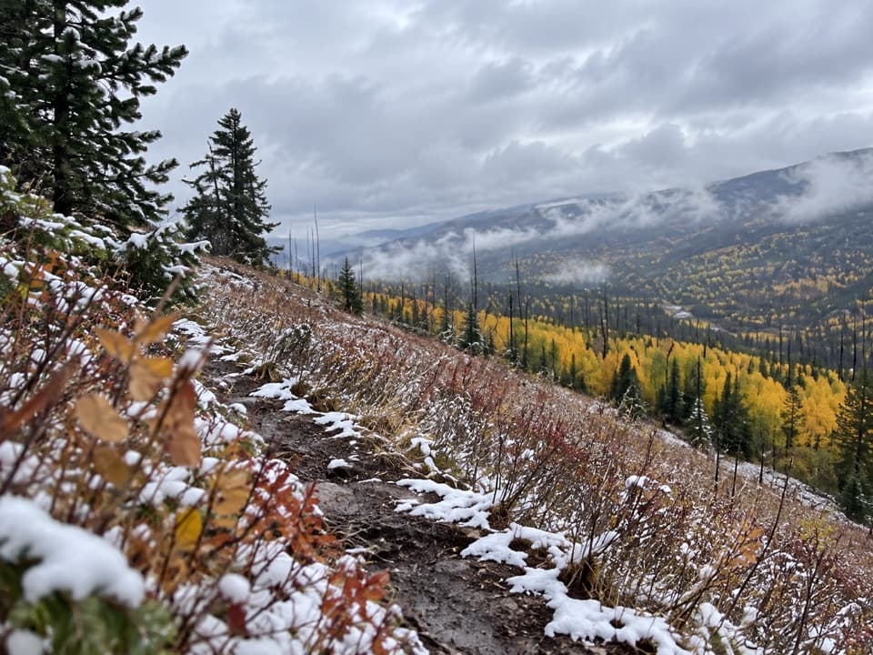 Buffalo Fork Trail in Yellowstone National Park