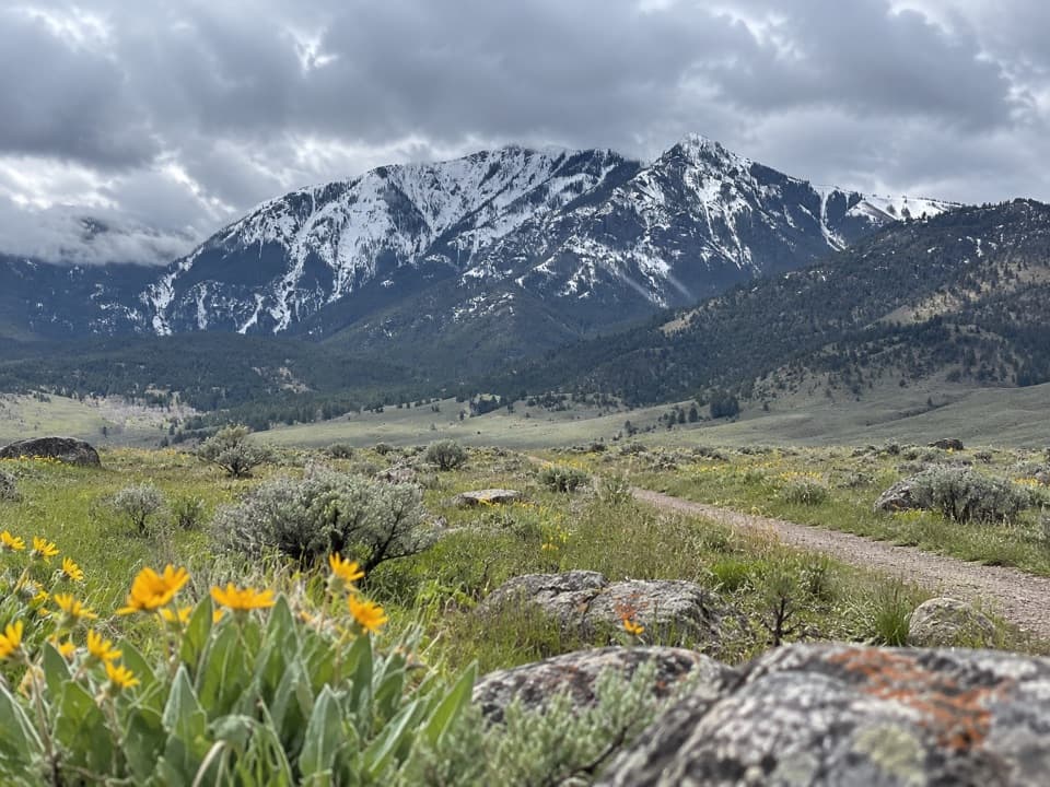 Abandoned Railroad Bed Bike Trail in Yellowstone National Park