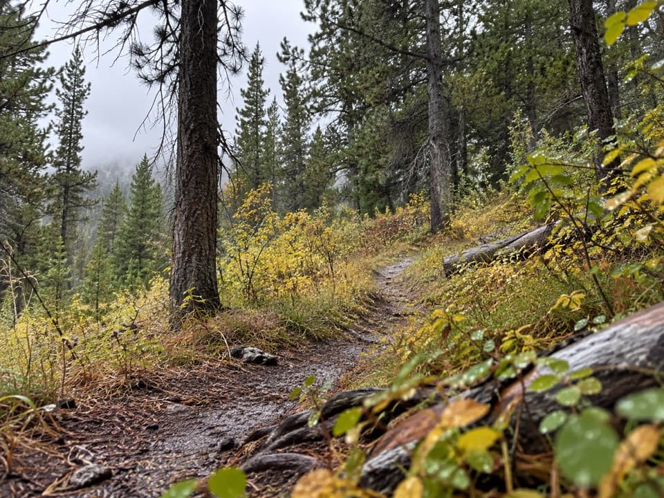 Robinson Creek Trail in Yellowstone National Park