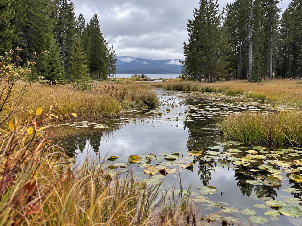 Continental Divide Trail: Yellowstone Section in Yellowstone National Park