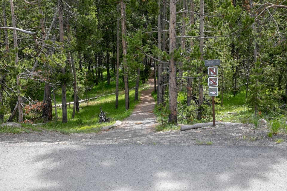 Mallard Creek Trail in Yellowstone National Park