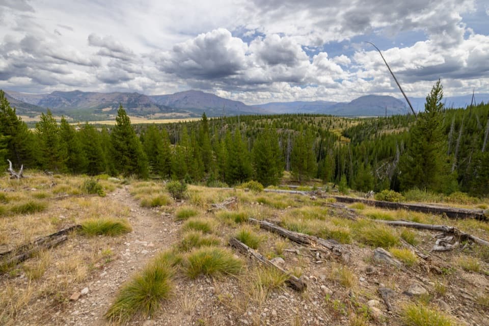 South Boundary Trail: Lynx Creek in Yellowstone National Park