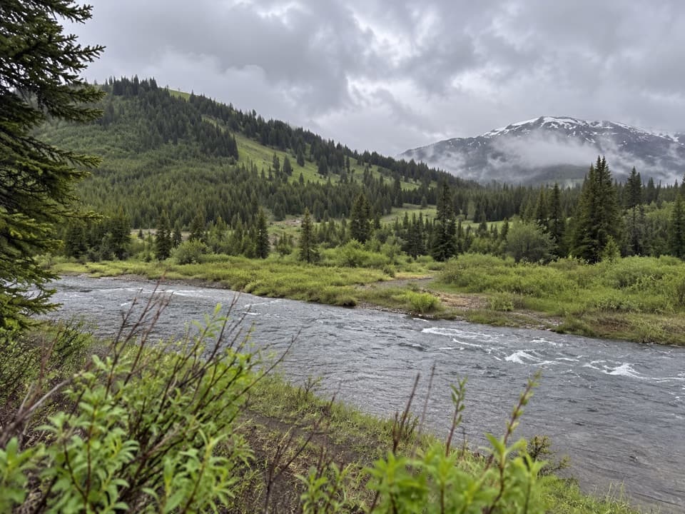 Mist Lake Trail in Yellowstone National Park