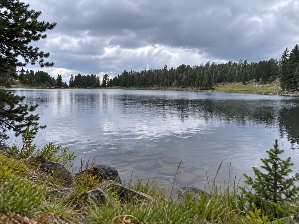 Frost Creek Trail in Yellowstone National Park