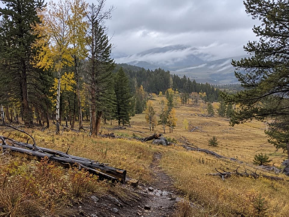 Roosevelt Lodge–Tower Fall Trail in Yellowstone National Park