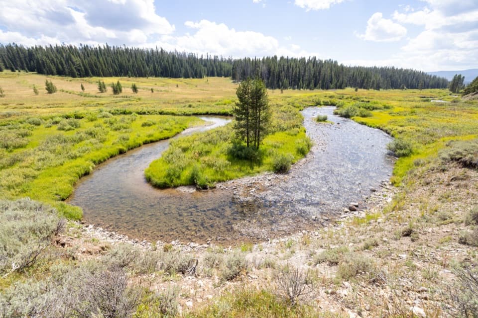 Fan Creek Trail in Yellowstone National Park