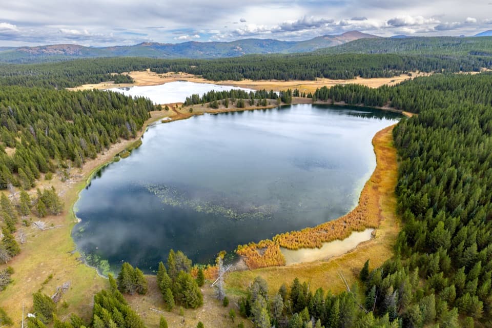 Astringent Creek Trail in Yellowstone National Park