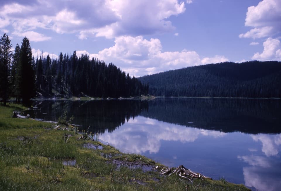 Fern Lake Trail in Yellowstone National Park