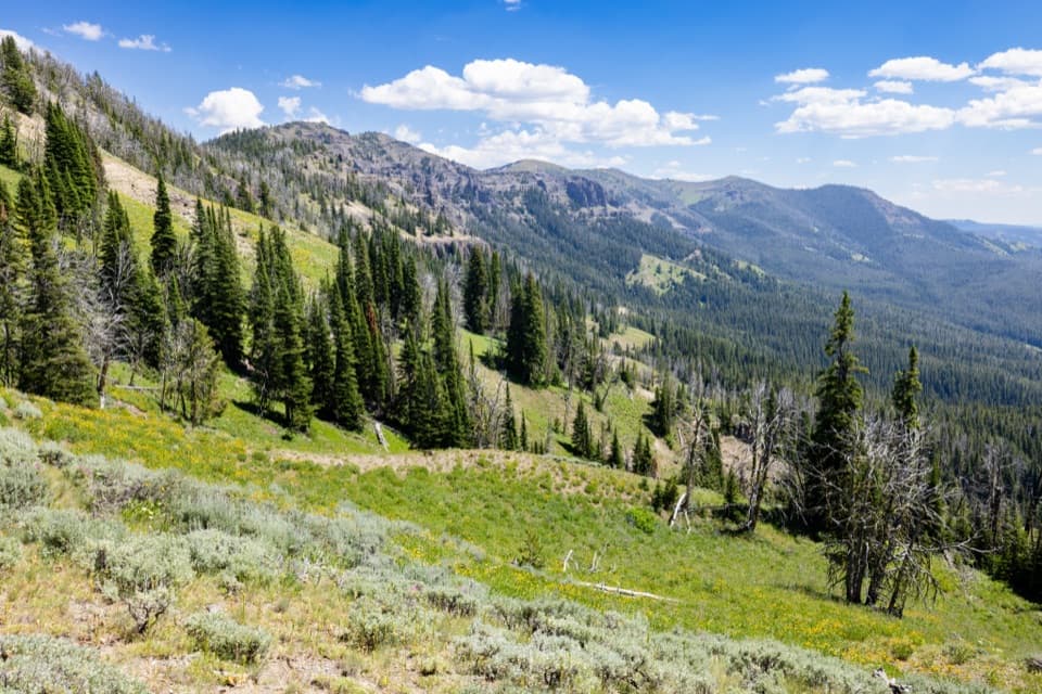Dailey Creek Trail in Yellowstone National Park