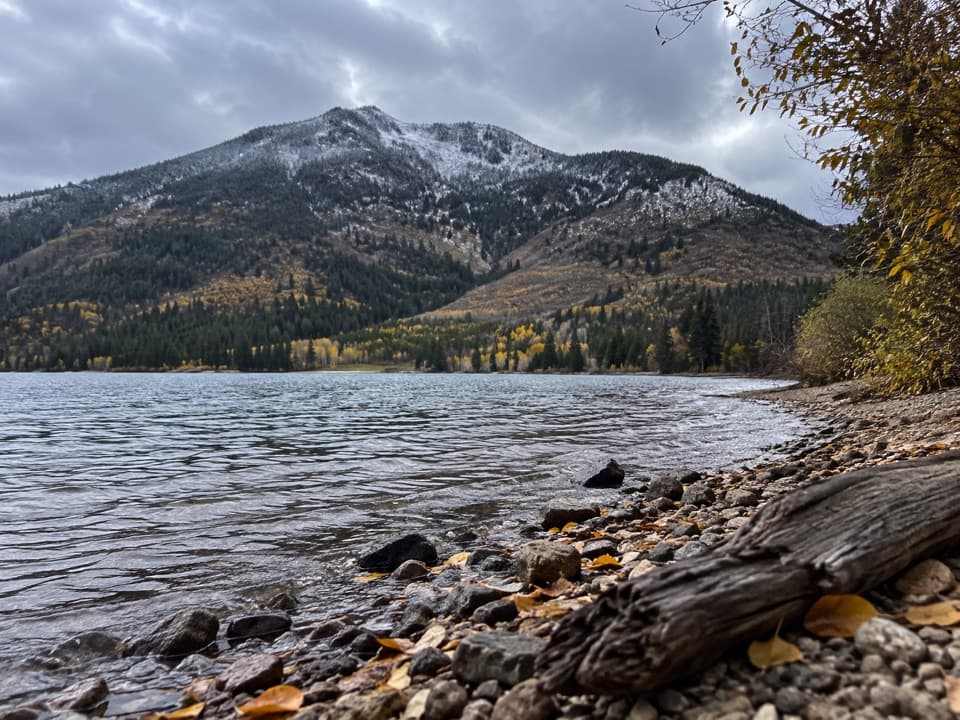 Trail Creek Trail in Yellowstone National Park