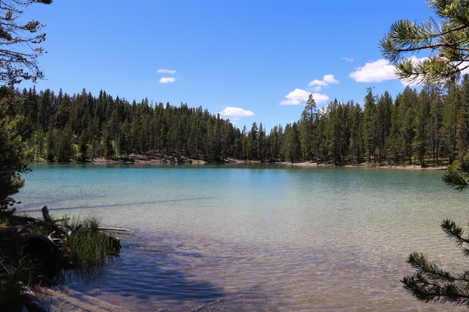 Clear Lake–Ribbon Lake Loop Trail in Yellowstone National Park