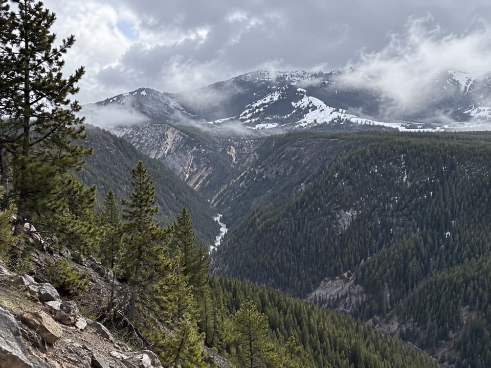 Agate Creek Trail in Yellowstone National Park