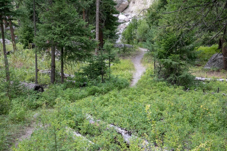 Tower Creek Trail in Yellowstone National Park