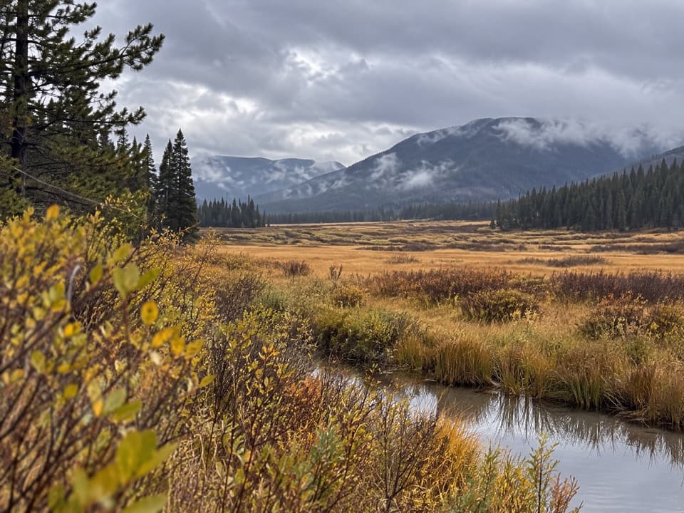 Hawk’s Lake Trail in Yellowstone National Park