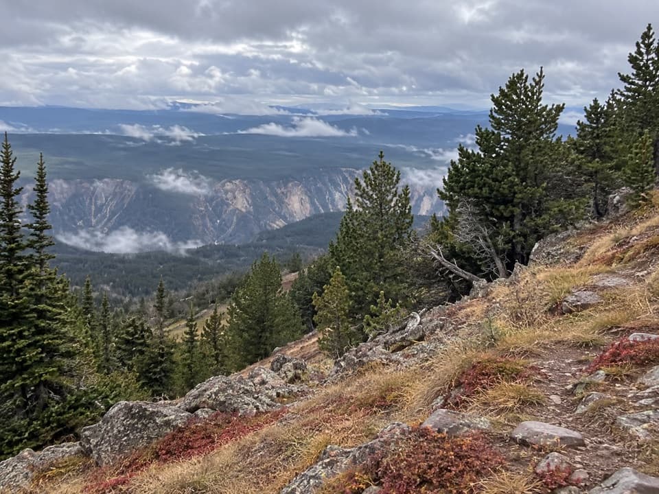Mount Washburn Spur Trail in Yellowstone National Park