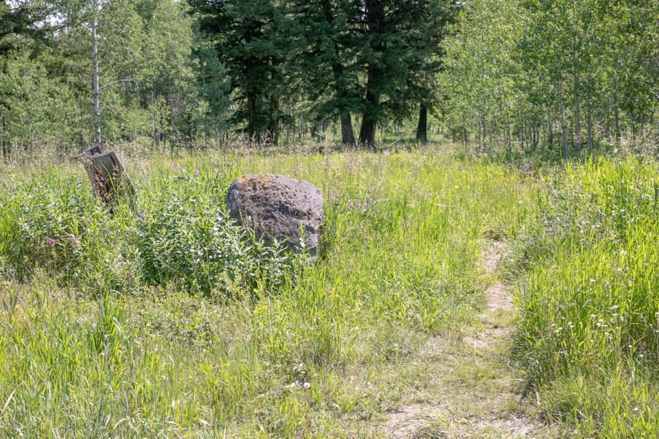 Gneiss Creek Trail in Yellowstone National Park