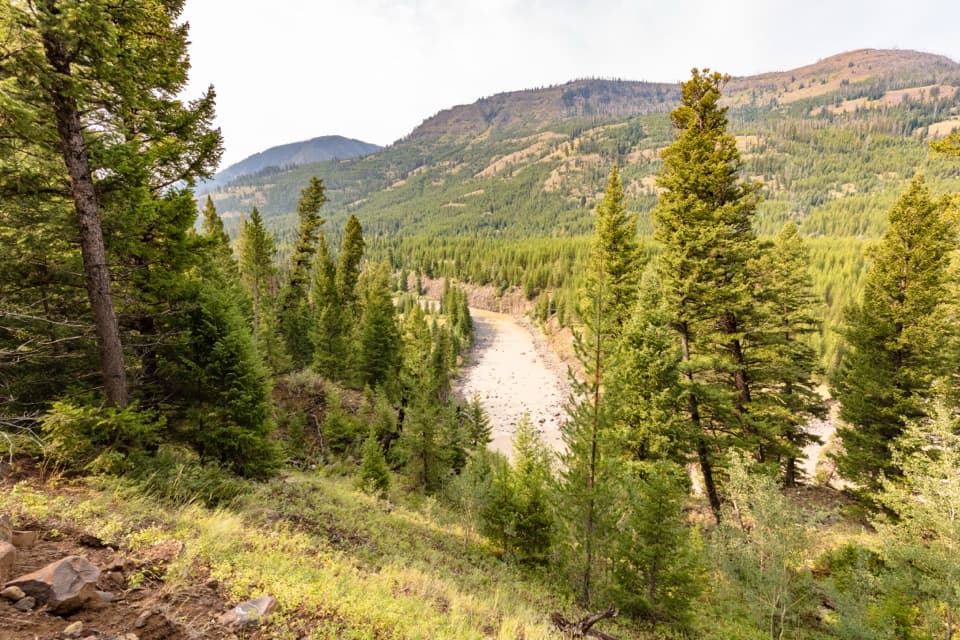 Lamar River Trail in Yellowstone National Park