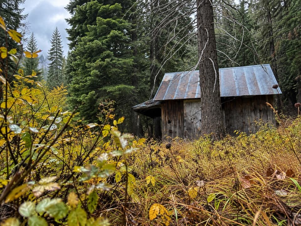 Biledo Meadow Trail in Yosemite National Park